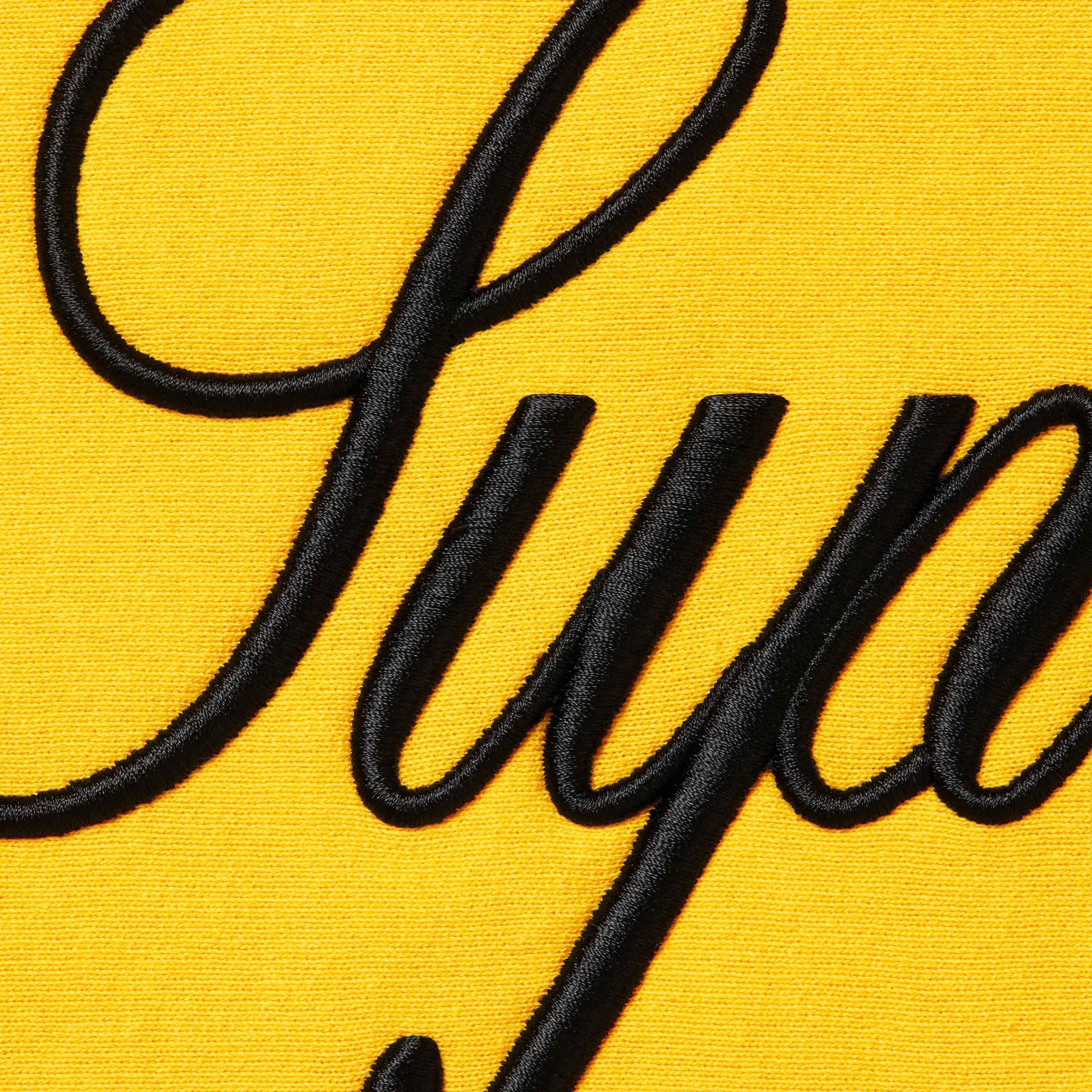 Raised Script Hooded Sweatshirt view 19